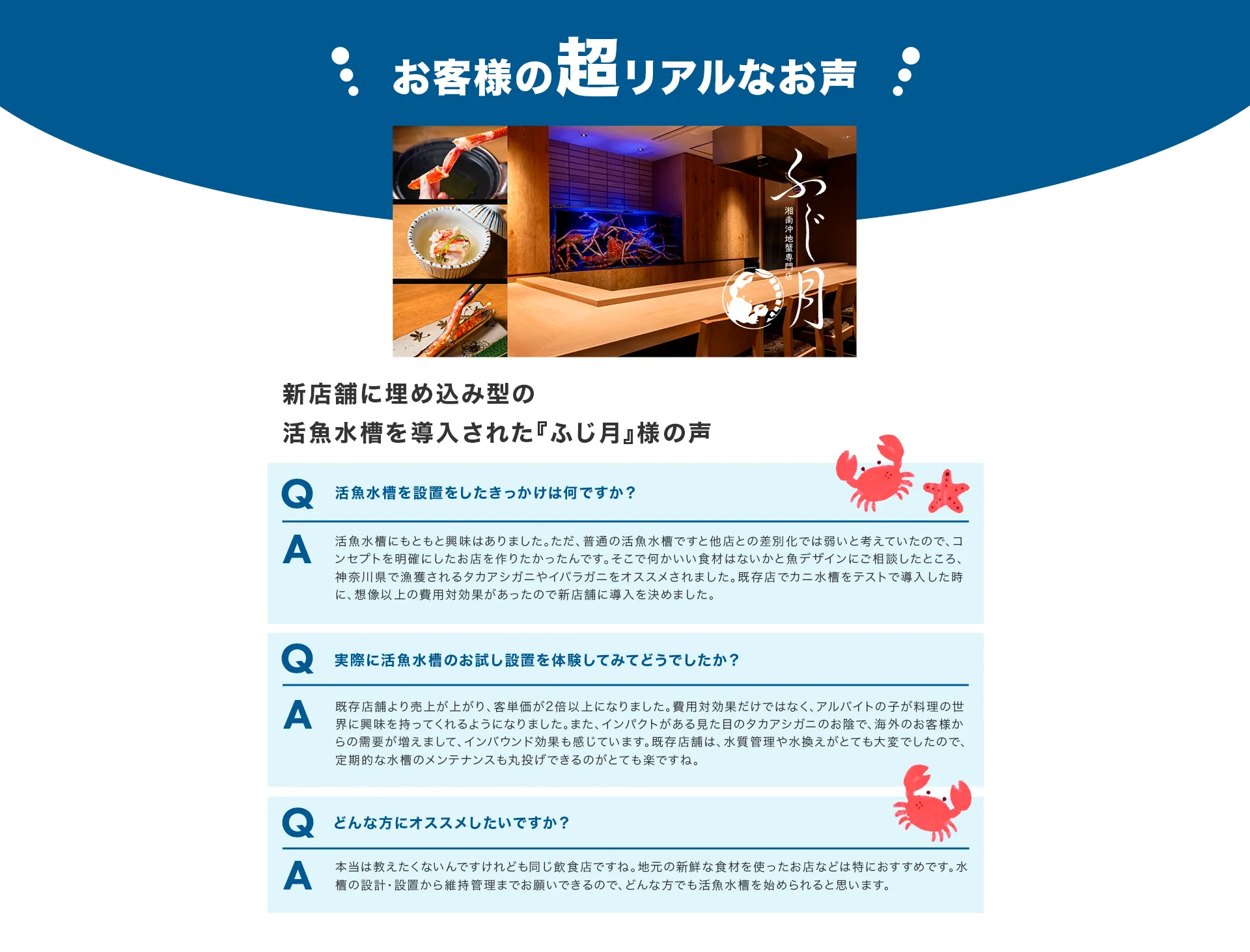 LP画像