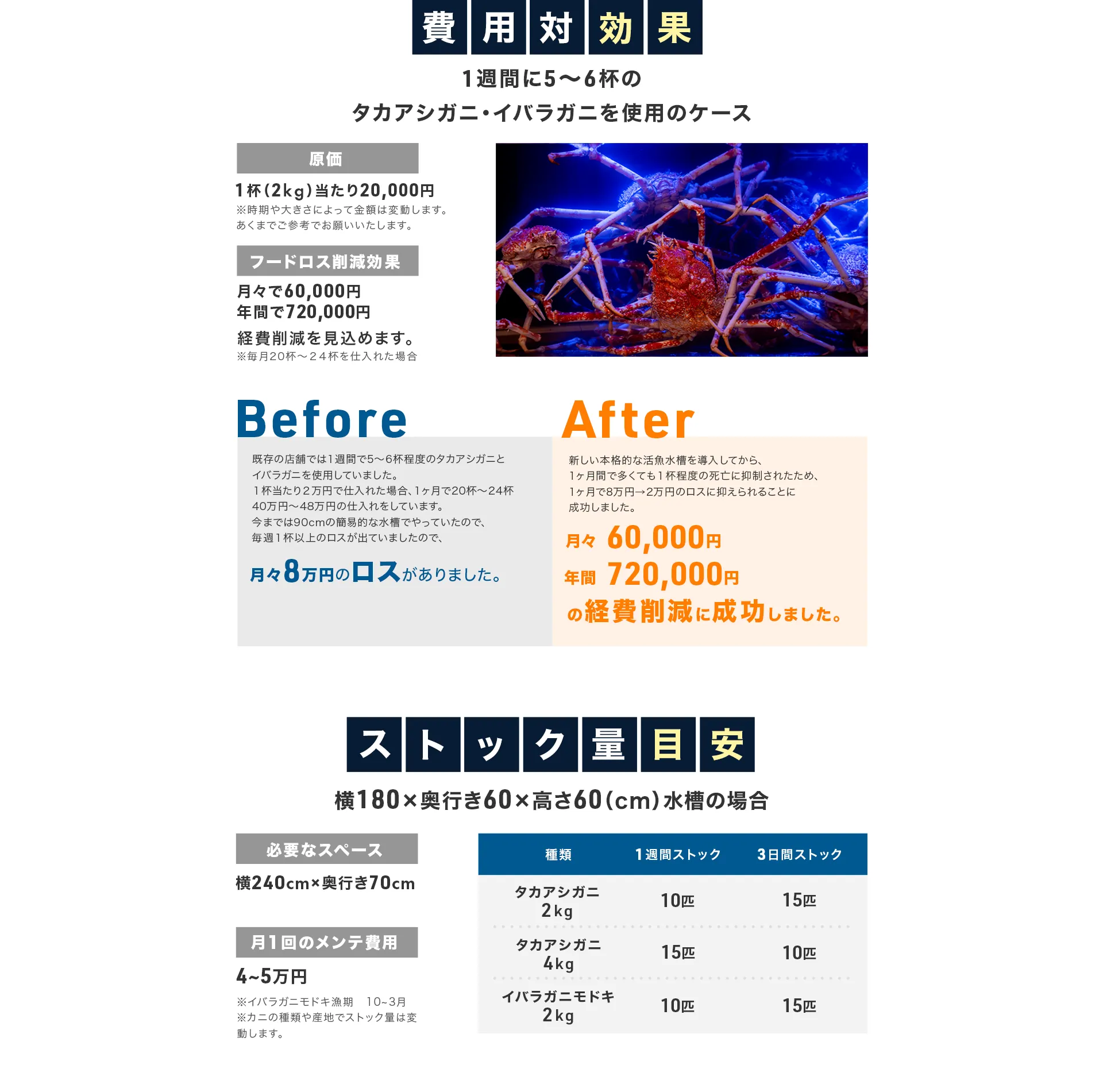 LP画像