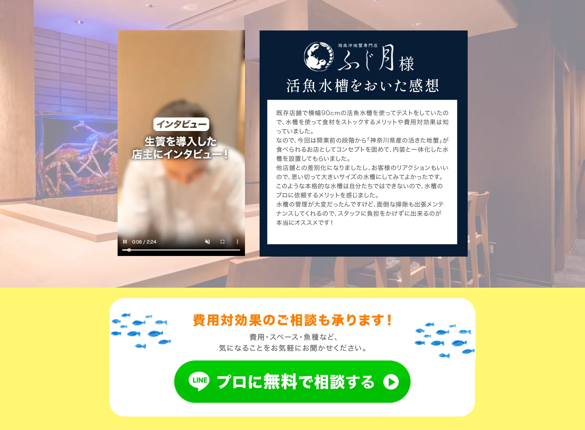 LP画像
