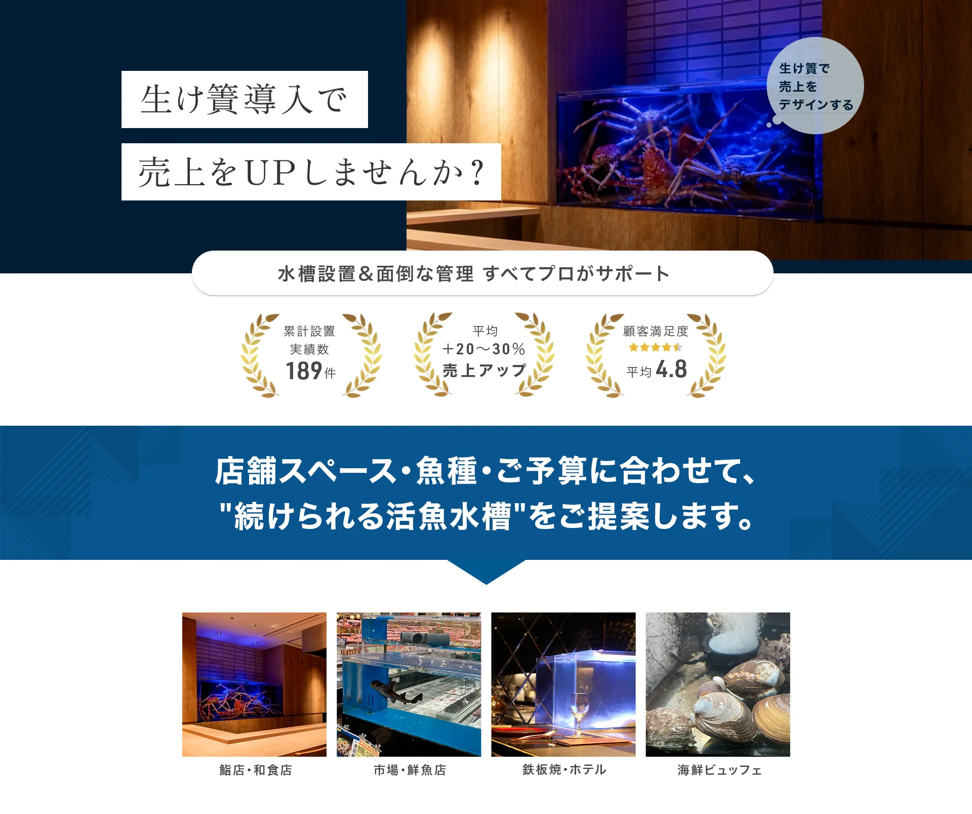LP画像
